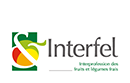 CVE Interfel